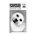 Unconditional Stamps