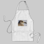 undefined aprons