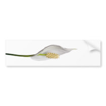 undefined bumper sticker