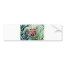 undefined bumper stickers