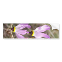 undefined bumper stickers