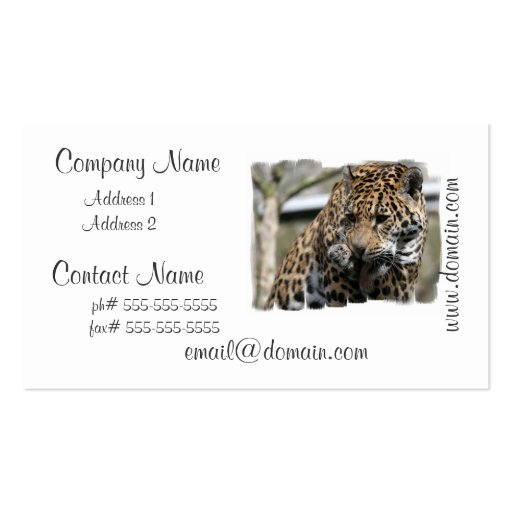 undefined business card templates (front side)