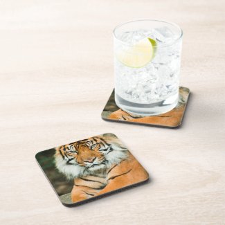 undefined drink coasters