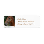 undefined custom return address label