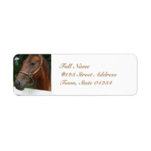 undefined custom return address label