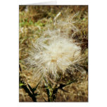 undefined greeting card