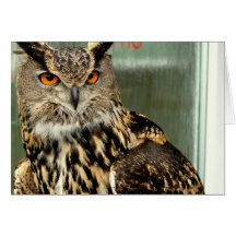 undefined greeting cards