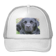 undefined mesh hats