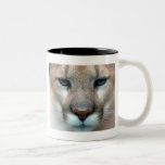 undefined mugs