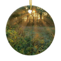 undefined christmas tree ornaments