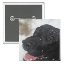 undefined pin