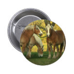 undefined pinback buttons