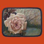 vintage roses,victorian roses,flowers,floral,old