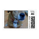 undefined postage