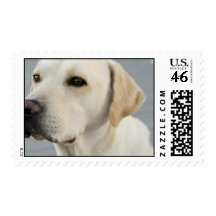 undefined postage