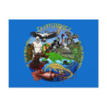 undefined postcards