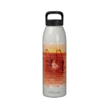 undefined reusable water bottle
