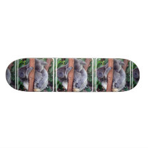 undefined skate deck
