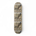 undefined skate board