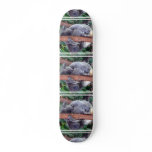 undefined skate deck