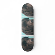 undefined skate decks
