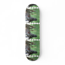 undefined skate decks