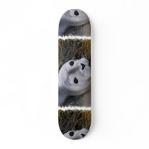 undefined skate board decks
