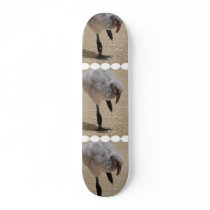 undefined skateboard