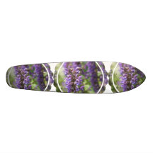 undefined skateboard