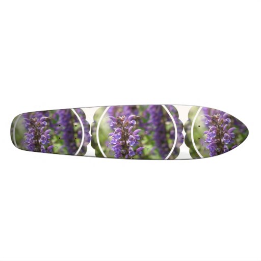 undefined skateboard