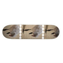 undefined skateboard