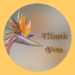 undefined stickers