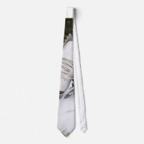 undefined ties