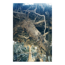 Under a Broken Tree posters