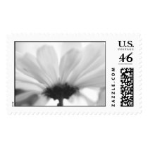 under a daisy postage