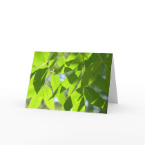 Under a Tree cards