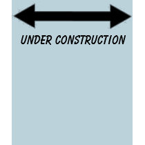 Under Construction Women's Shirt