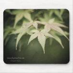 Under mousepads