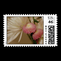 Under My Wing postage