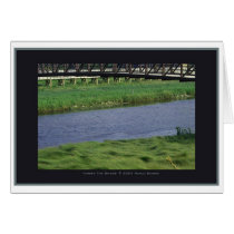 'Under the Bridge' by Marlo Dianne cards
