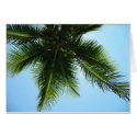 Under the coconut tree cards