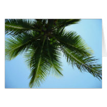 Under the coconut tree cards by Publio Under the coconut tree cards