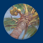 Under the Coconut Tree magnets