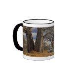 Under the giant Baobabs mugs