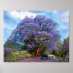 Under The Jacaranda Art Poster/Print