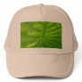 Under the Leaf Hat