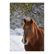 Under the mistletoe print print
