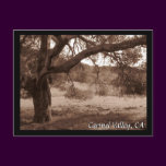 Under the Oaks Postcard