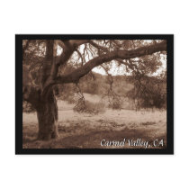 Under the Oaks Postcard