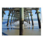 Under the Pier cards